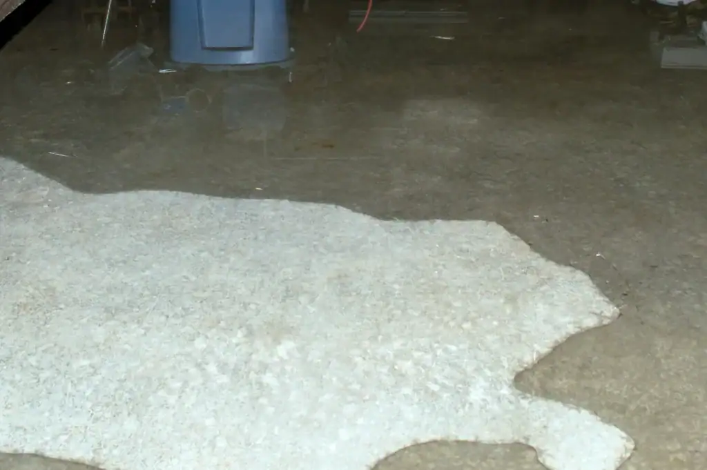 A large puddle covers a concrete floor, suggesting the urgent need for Water Damage Restoration Milwaukee.
