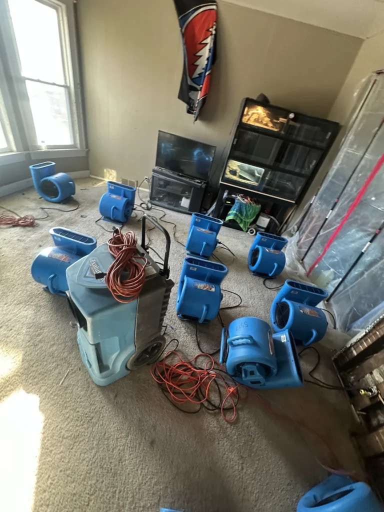 Multiple air movers and dehumidifiers running in a room after water damage